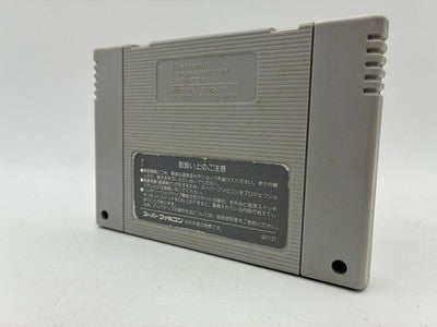 Darius Twin Nintendo Super Famicom Japan Tested NTSC-J