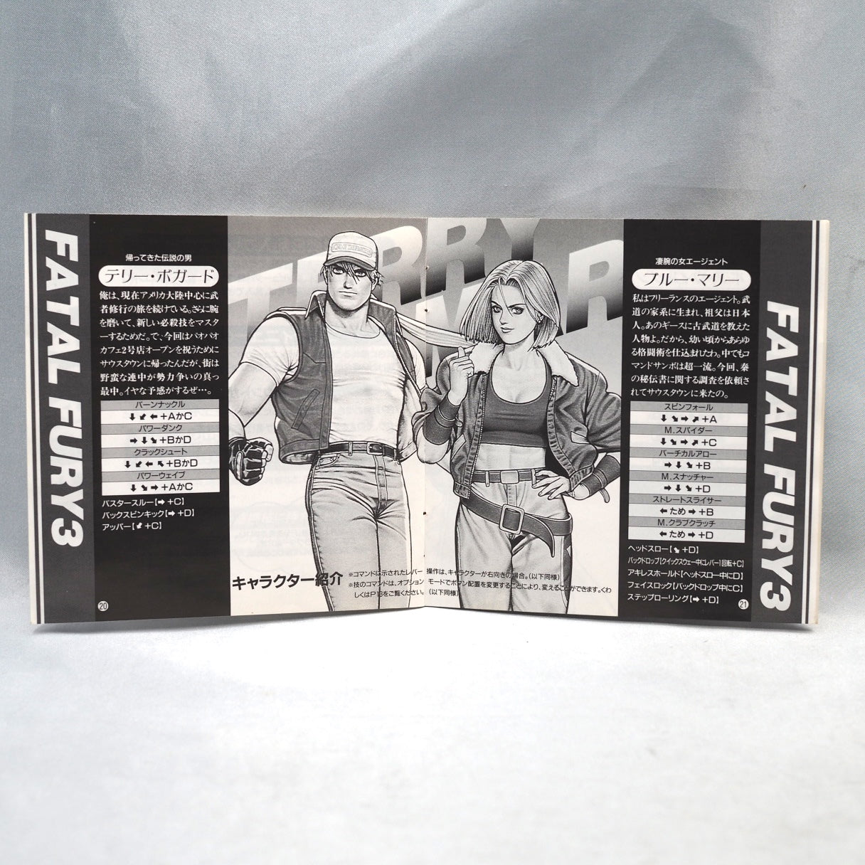 Fatal Fury 3 Road to the final victory