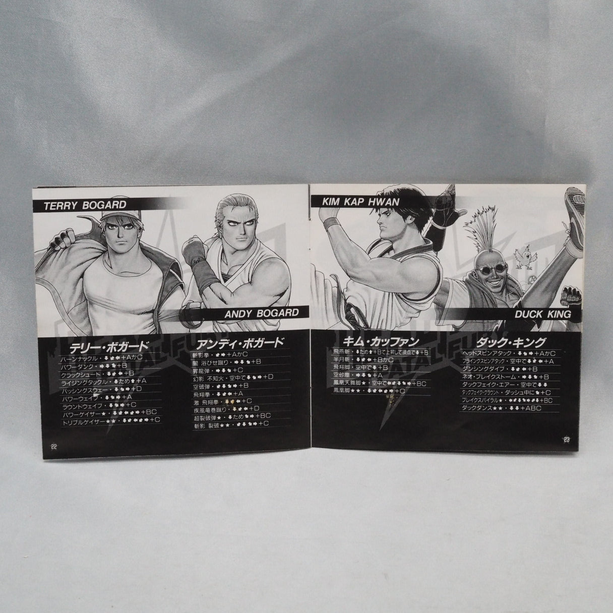 REAL BOUT FATAL FURY