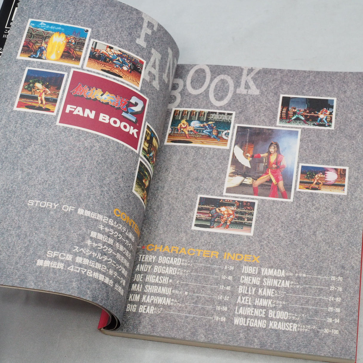 FATAL FURY 2 FAN BOOK