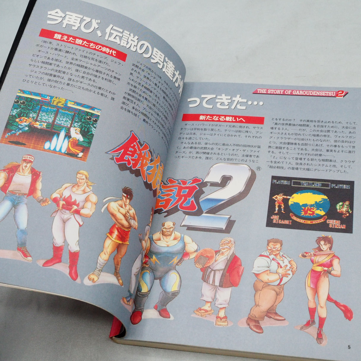 FATAL FURY 2 FAN BOOK