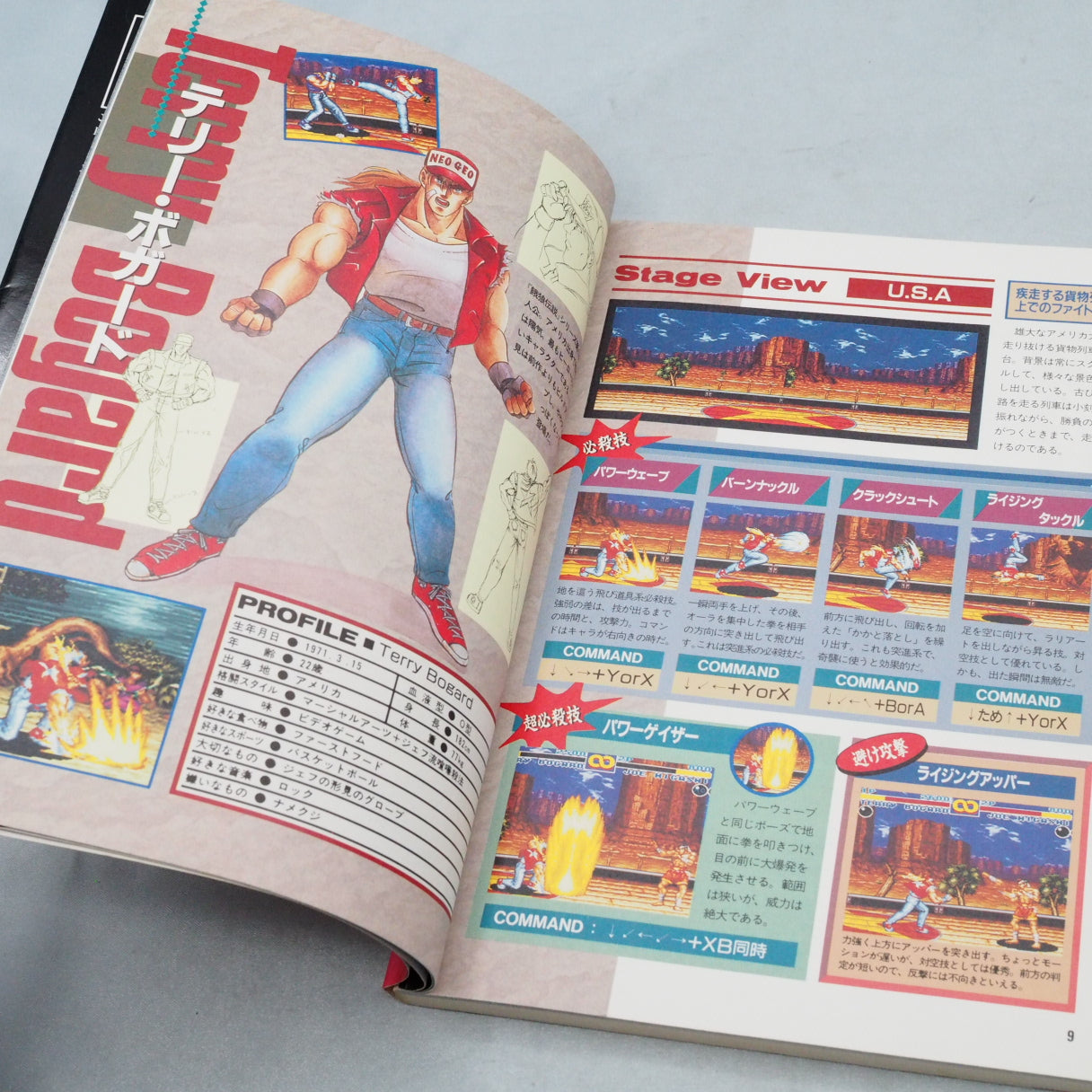 FATAL FURY 2 FAN BOOK