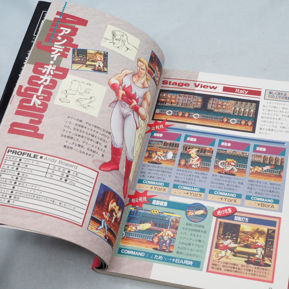 FATAL FURY 2 FAN BOOK