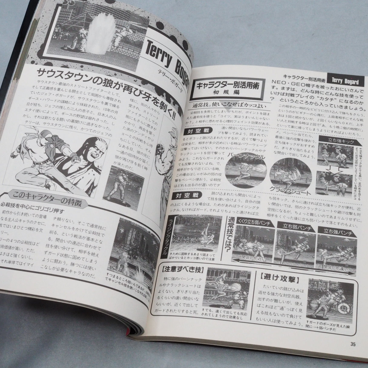 Used FATAL FURY 2 FAN BOOK - Tested & Working