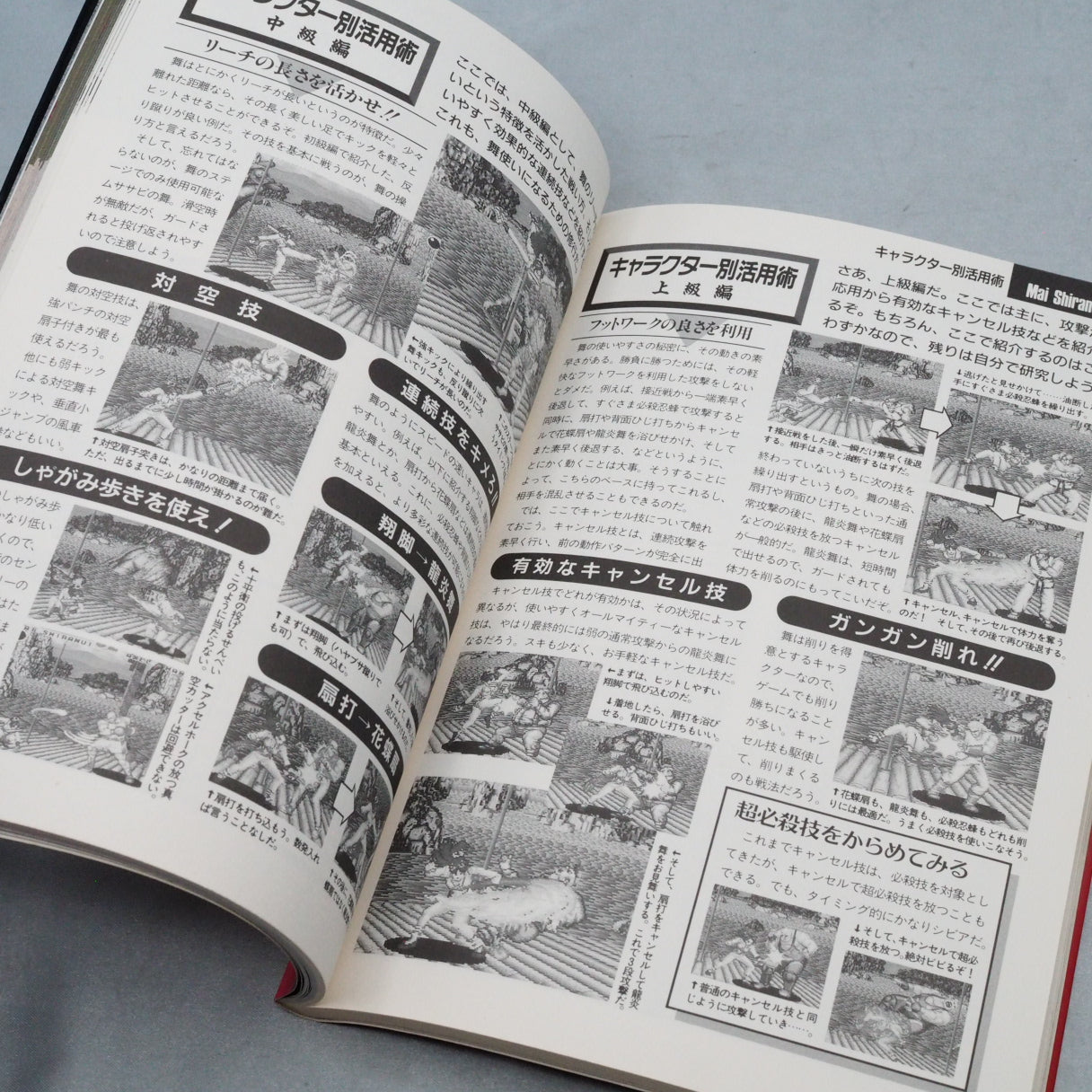 FATAL FURY 2 FAN BOOK