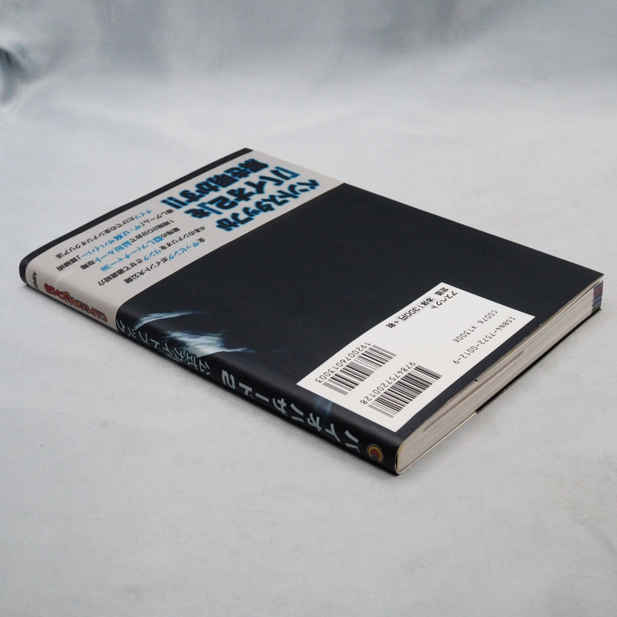 Used BIOHAZARD 2 Official Guide Book - Tested & Working