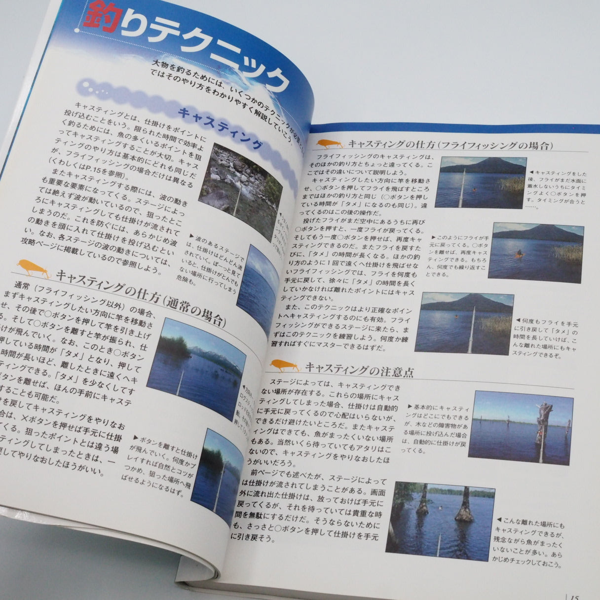 Used FISH EYES Ⅱ 2 PERFECT GUIDE - Tested & Working