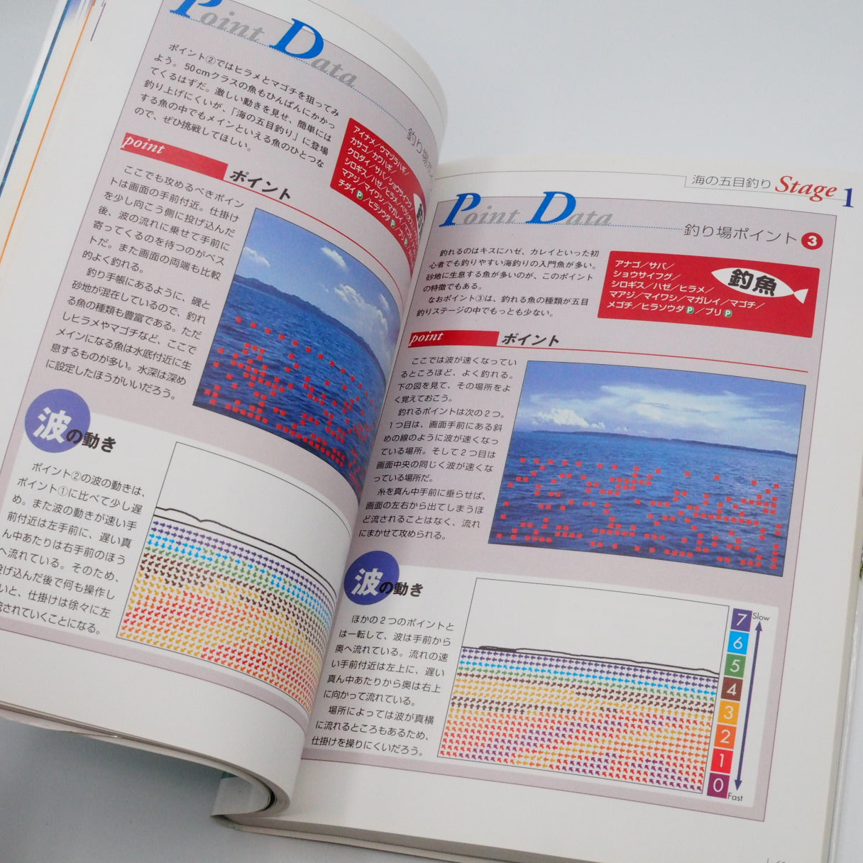 Used FISH EYES Ⅱ 2 PERFECT GUIDE - Tested & Working