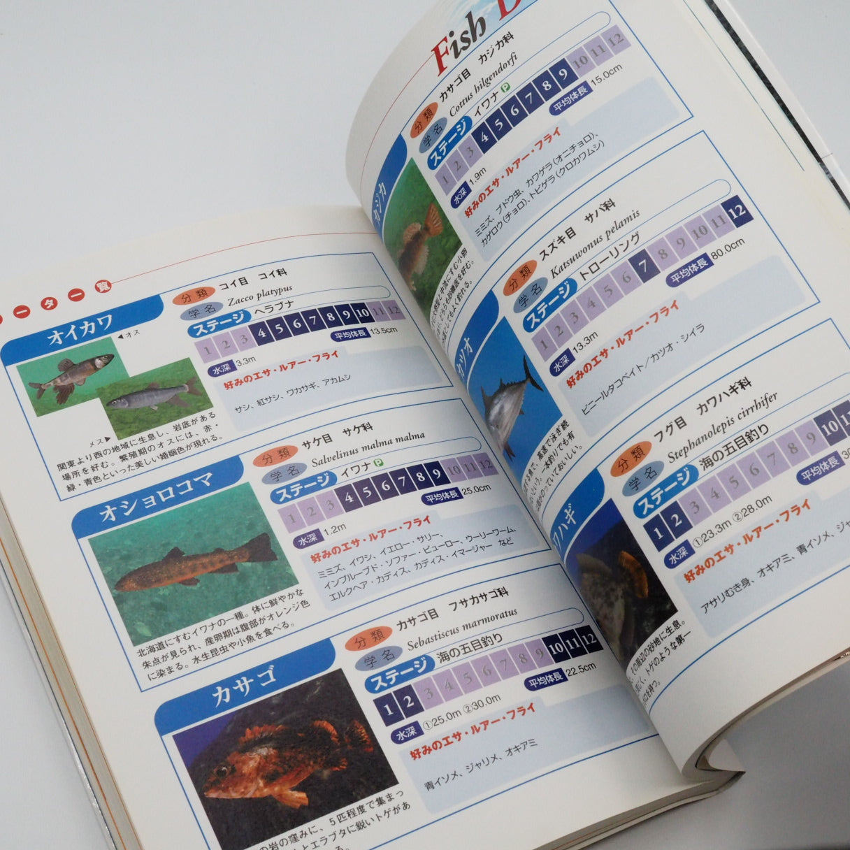 Used FISH EYES Ⅱ 2 PERFECT GUIDE - Tested & Working