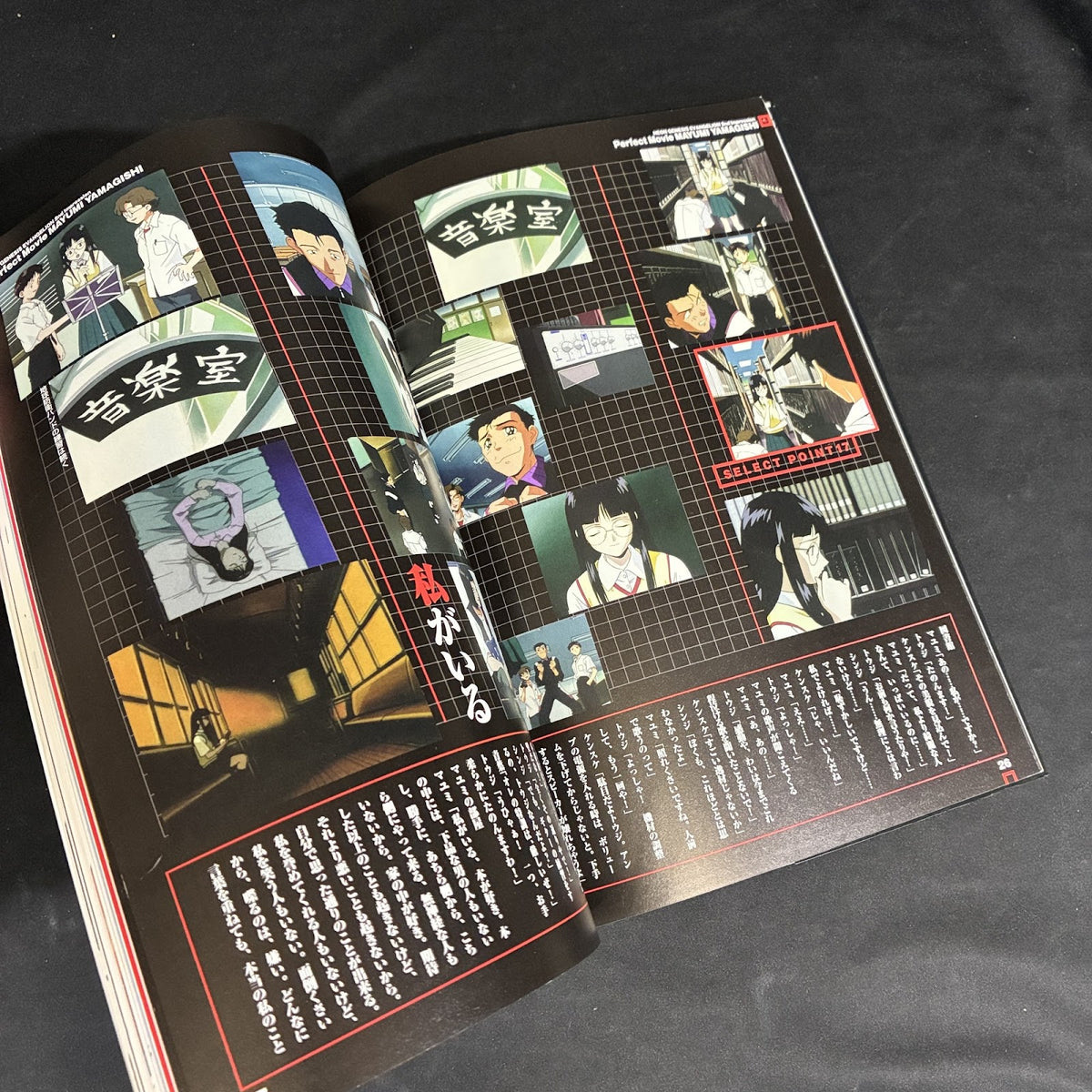 Neon Genesis Evangelion 2nd Impression Bible Guide Sega Saturn Japan