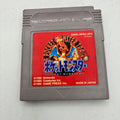 Pokémon Red Version (Game Boy)