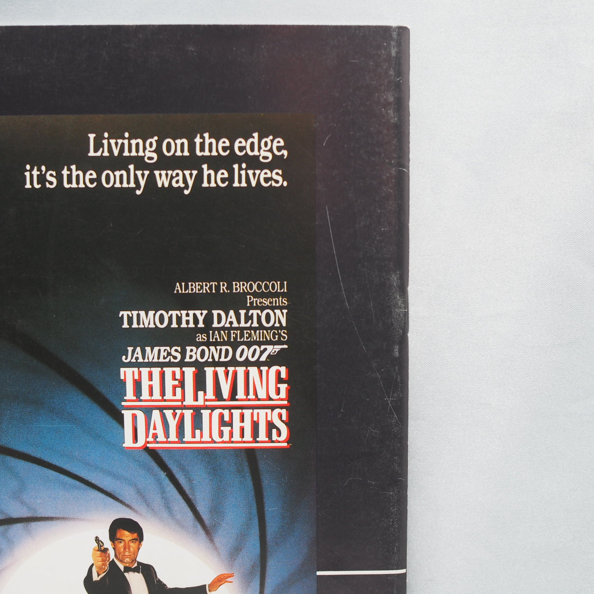 007 THE LIVING DAY LIGHTS