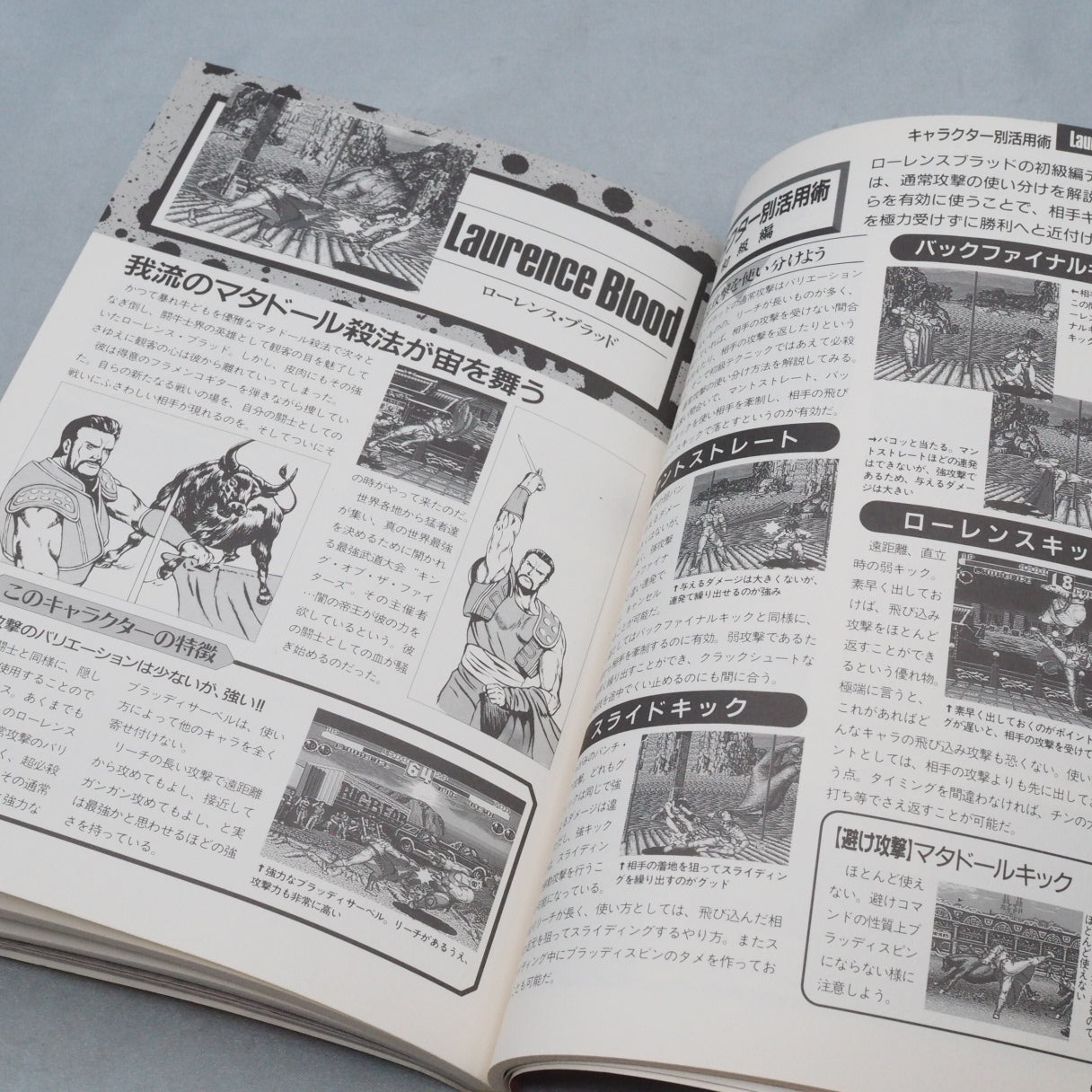 FATAL FURY 2 FAN BOOK
