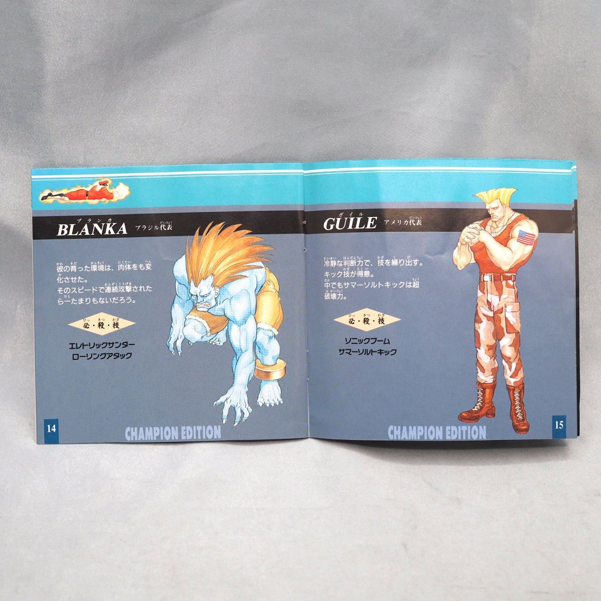 STREET FIGHTER 2 DASH Champion Edition