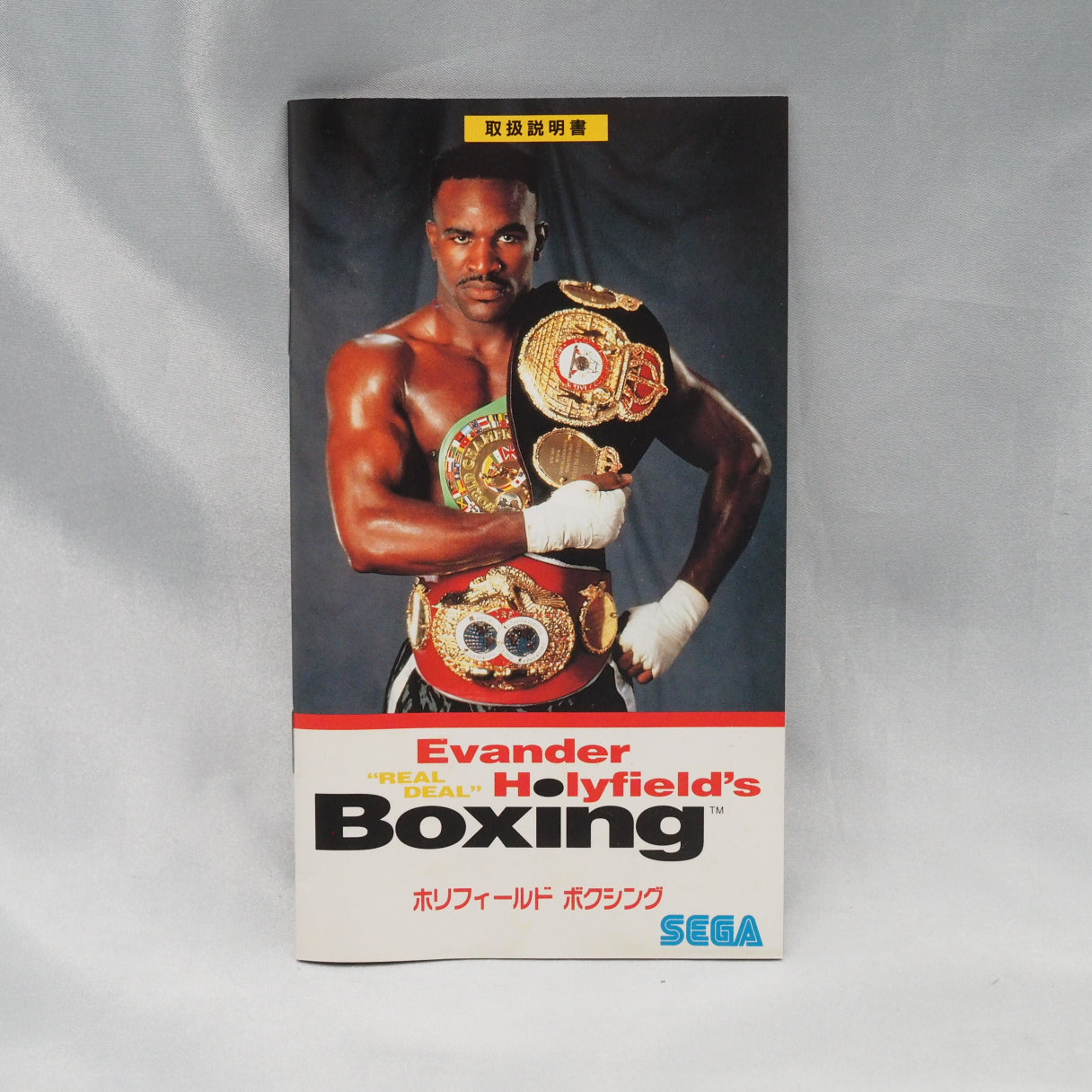 HOLYFIELD'S BOXING