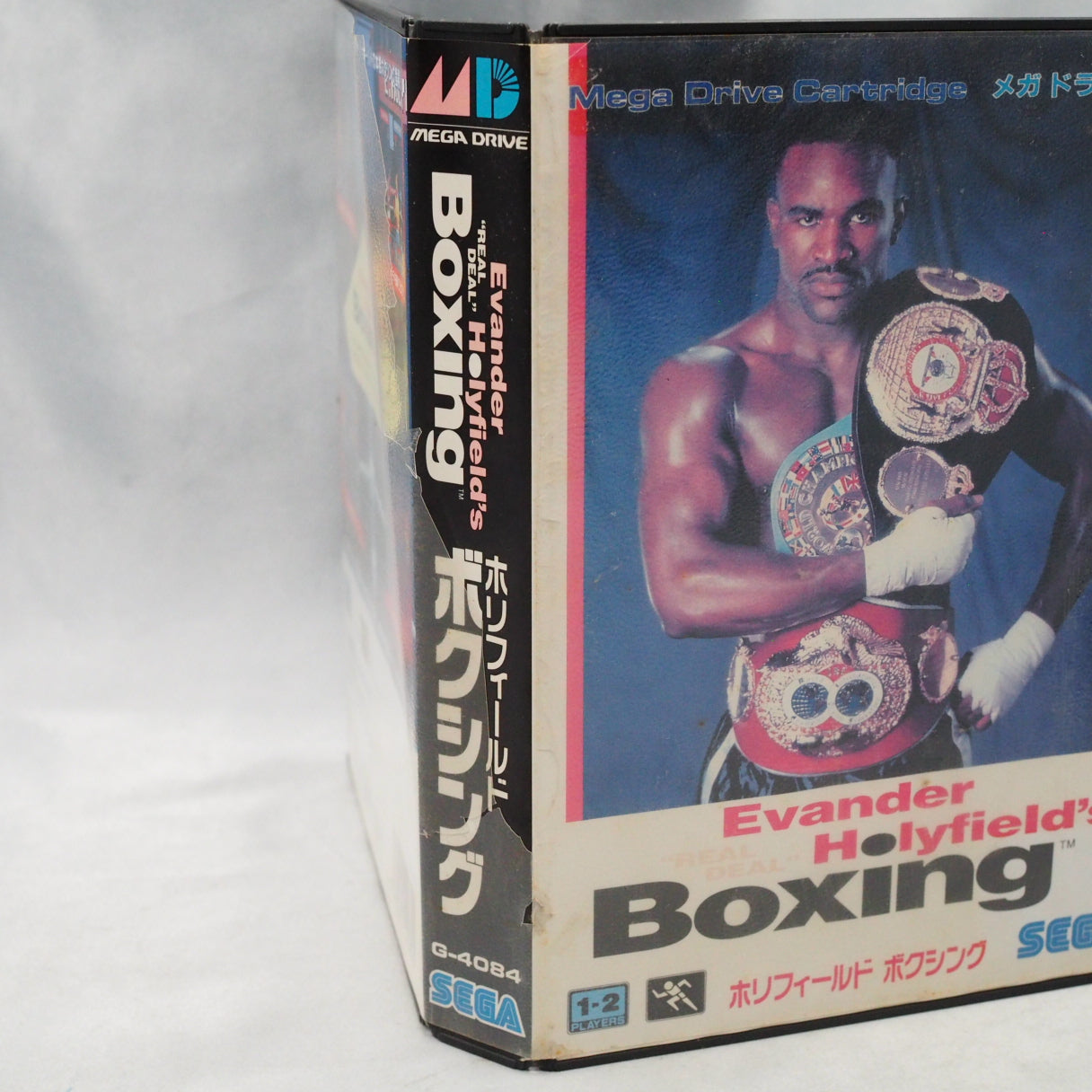 HOLYFIELD'S BOXING