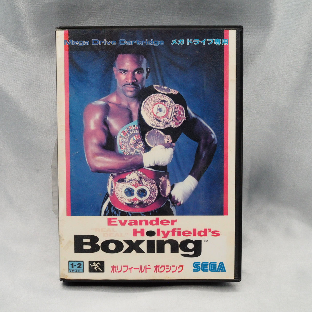 HOLYFIELD'S BOXING