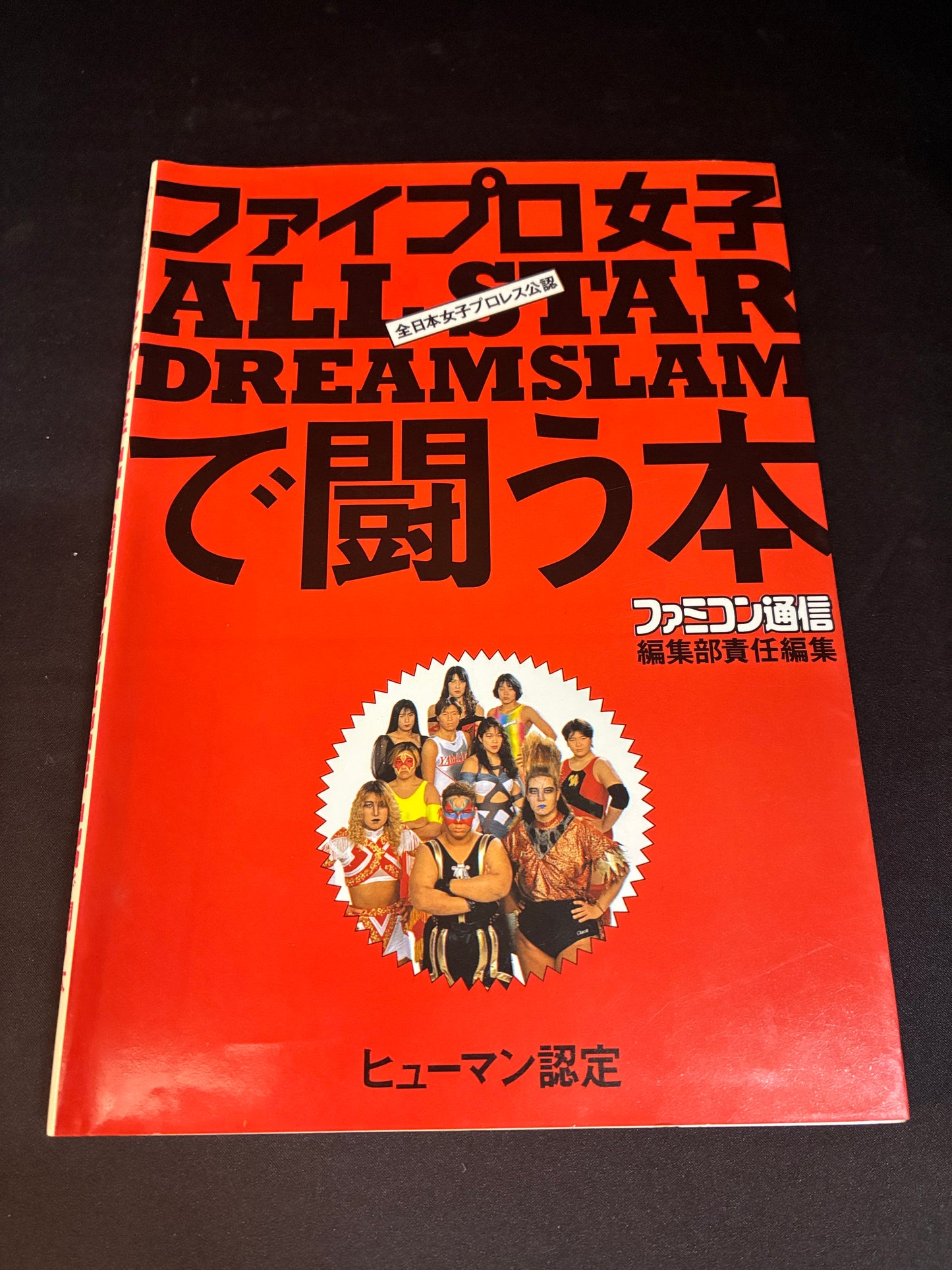 Fire Pro Girls (Japanese Version) ALL STAR DREAMSLAM Guide Book